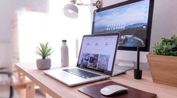 Ringing Tree IT | What Is the Essential Web-Development Features for a Secure, High-Performing Site?